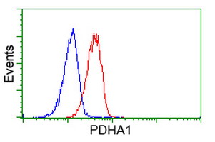 PDHA1 / PDH E1 Alpha Antibody - Flow cytometry of HeLa cells, using anti-PDHA1 antibody (Red), compared to a nonspecific negative control antibody (Blue).
