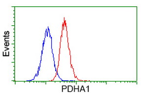 PDHA1 / PDH E1 Alpha Antibody - Flow cytometry of Jurkat cells, using anti-PDHA1 antibody (Red), compared to a nonspecific negative control antibody (Blue).
