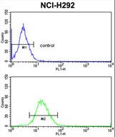 PDIA3 / ERp57 Antibody - PDIA3 Antibody flow cytometry of NCI-H292 cells (bottom histogram) compared to a negative control cell (top histogram). FITC-conjugated goat-anti-rabbit secondary antibodies were used for the analysis.
