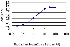 PDK3 Antibody - Detection limit for recombinant GST tagged PDK3 is approximately 0.03 ng/ml as a capture antibody.