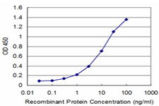 PDK4 Antibody - Detection limit for recombinant GST tagged PDK4 is approximately 0.3 ng/ml as a capture antibody.