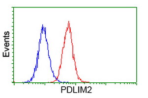 PDLIM2 / SLIM Antibody - Flow cytometry of HeLa cells, using anti-PDLIM2 antibody (Red), compared to a nonspecific negative control antibody (Blue).