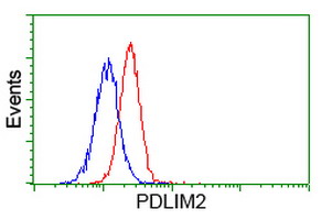 PDLIM2 / SLIM Antibody - Flow cytometry of Jurkat cells, using anti-PDLIM2 antibody (Red), compared to a nonspecific negative control antibody (Blue).