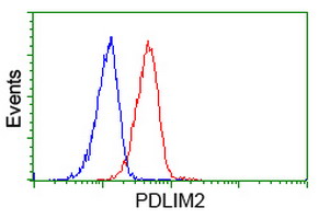 PDLIM2 / SLIM Antibody - Flow cytometry of HeLa cells, using anti-PDLIM2 antibody (Red), compared to a nonspecific negative control antibody (Blue).