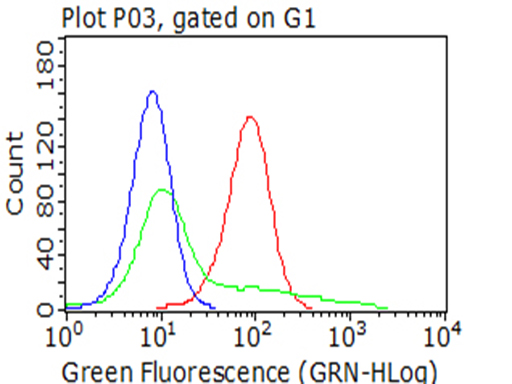 PDPN / Podoplanin Antibody - Flow cytometric analysis of living 293T cells, using anti-PDPN antibody. (red), compared to an IgG isotype control. (green), and negative control. (PBS). (blue). (1:100)