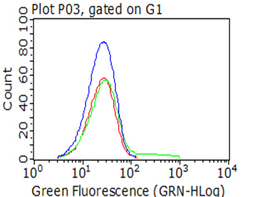 PDPN / Podoplanin Antibody - Flow cytometric analysis of living MCF7 cells, using anti-PDPN antibody. (red), compared to an IgG isotype control. (green), and negative control. (PBS). (blue). (1:100)