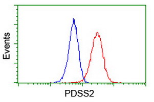 PDSS2 / DLP1 Antibody - Flow cytometry of Jurkat cells, using anti-PDSS2 antibody (Red), compared to a nonspecific negative control antibody (Blue).