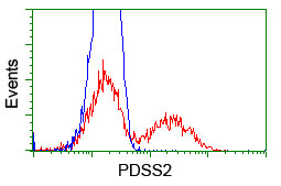 PDSS2 / DLP1 Antibody - HEK293T cells transfected with either overexpress plasmid (Red) or empty vector control plasmid (Blue) were immunostained by anti-PDSS2 antibody, and then analyzed by flow cytometry.