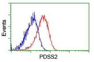 PDSS2 / DLP1 Antibody - Flow cytometry of HeLa cells, using anti-PDSS2 antibody (Red), compared to a nonspecific negative control antibody (Blue).
