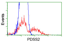 PDSS2 / DLP1 Antibody - HEK293T cells transfected with either overexpress plasmid (Red) or empty vector control plasmid (Blue) were immunostained by anti-PDSS2 antibody, and then analyzed by flow cytometry.