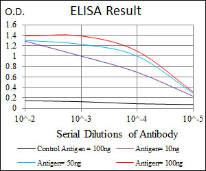 PDX1 Antibody - Red: Control Antigen (100ng); Purple: Antigen (10ng); Green: Antigen (50ng); Blue: Antigen (100ng);