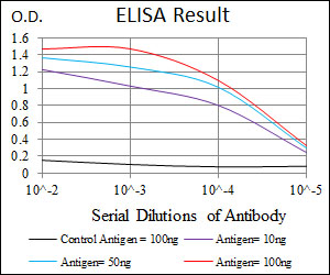 PDX1 Antibody - Red: Control Antigen (100ng); Purple: Antigen (10ng); Green: Antigen (50ng); Blue: Antigen (100ng);