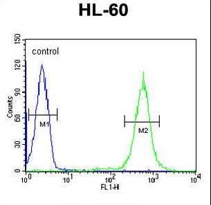 PDXDC1 Antibody - PDXD1 Antibody flow cytometry of HL-60 cells (right histogram) compared to a negative control cell (left histogram). FITC-conjugated goat-anti-rabbit secondary antibodies were used for the analysis.