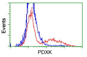 PDXK / PNK Antibody - HEK293T cells transfected with either overexpress plasmid (Red) or empty vector control plasmid (Blue) were immunostained by anti-PDXK antibody, and then analyzed by flow cytometry.