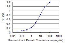PEA3 / ETV4 Antibody - Detection limit for recombinant GST tagged ETV4 is 0.1 ng/ml as a capture antibody.