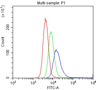 PECAM-1 / CD31 Antibody - Flow Cytometry analysis of U937 cells using anti-CD31 antibody. Overlay histogram showing U937 cells stained with anti-CD31 antibody (Blue line). The cells were blocked with 10% normal goat serum. And then incubated with rabbit anti-CD31 Antibody (1µg/1x106 cells) for 30 min at 20°C. DyLight®488 conjugated goat anti-rabbit IgG (5-10µg/1x106 cells) was used as secondary antibody for 30 minutes at 20°C. Isotype control antibody (Green line) was rabbit IgG (1µg/1x106) used under the same conditions. Unlabelled sample (Red line) was also used as a control.