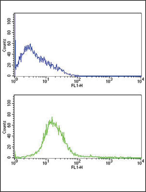 PECAM-1 / CD31 Antibody - CD31 Antibody flow cytometry of HL60 cells (bottom histogram) compared to a negative control cell (top histogram). FITC-conjugated goat-anti-rabbit secondary antibodies were used for the analysis.