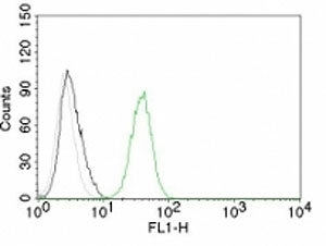 PECAM-1 / CD31 Antibody - Flow cytometry test of Jurkat cells. Black: cells alone; Grey: isotype control; Green: AF488-labeled CD31 antibody (C31.10).  This image was taken for the unmodified form of this product. Other forms have not been tested.