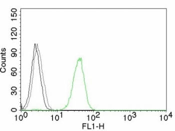 PECAM-1 / CD31 Antibody - Flow cytometry testing of human Jurkat cells. Black: cells alone; Grey: isotype control; Green: AF488-labeled CD31 antibody (JC/70A).  This image was taken for the unmodified form of this product. Other forms have not been tested.