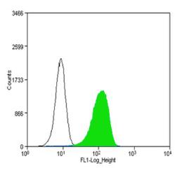 PECAM-1 / CD31 Antibody - Flow Cytometry: CD31/PECAM1 Antibody (MEC 7.46) - CD31/PECAM1 (MEC 7.46) antibody was tested at 1:250 in WEHI-3 cells with DyLight 488 (green) alongside a matched isotype control (black).  This image was taken for the unconjugated form of this product. Other forms have not been tested.