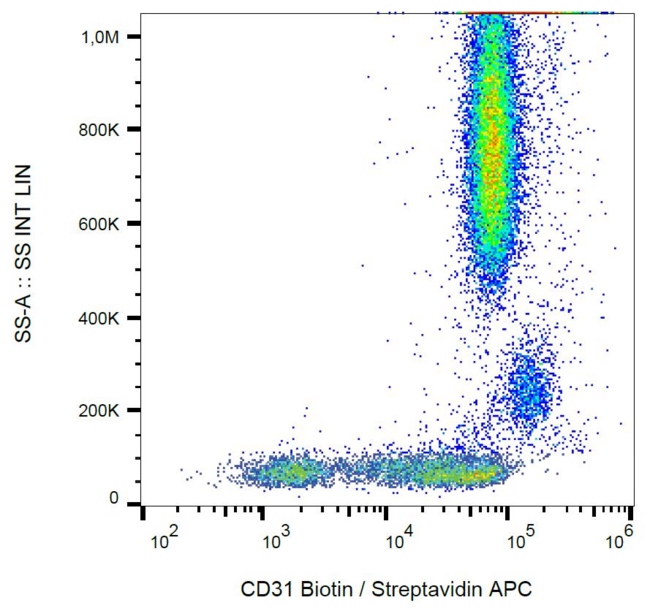 PECAM-1 / CD31 Antibody - Surface staining of human peripheral blood with anti-human CD31 (MEM-05) biotin. 
