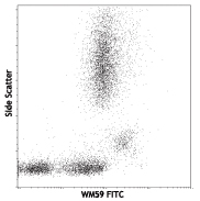 PECAM-1 / CD31 Antibody - Human peripheral blood lymphocytes, monocytes and granulocytes stained with purified WM59, then detected with anti-mouse IgG FITC.