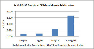 PEG / Polyethylene Glycol Antibody - In-Cell ELISA analysis of PEGylated drug/HepG2 interaction using THE TM PEG Antibody, mAb, Mouse after HepG2cells were treated with PEGylated drug (Pegasys, Peginterferon Alfa 2A) at different concentrations.The test result showed PEG Antibody was suitable for the analysis of PEGylated drug/cell interaction.