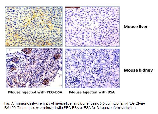 Anti-PEG / Polyethylene Glycol Antibody | Rabbit Anti-All Species | LSBio