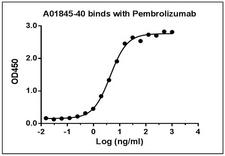 Pembrolizumab Antibody - Anti-Pembrolizumab antibody (10E12C6) binds with Pembrolizumab. While the antibody does not recognize the human IgG Fc fragment (data not shown). Coating antigen: Pembrolizumab, 1 ug/ml. Anti-Pembrolizumab antibody dilution start from 1,000 ng/ml, EC50= 5.77 ng/ml.