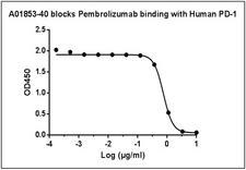 Pembrolizumab Antibody - MonoRab™ Anti-Pembrolizumab antibody (90G12F8) blocks Pembrolizumab binding with Human PD-1 recombinant protein (PD 1-Fc Chimera, Human). Coating antigen: Pembrolizumab, 1 µg/ml. PD 1-Fc-biotin final concentration: 20 ng/ml. Anti-Pembrolizumab antibody dilution start from 10 µg/ml. IC50= 0.38 µg/ml.