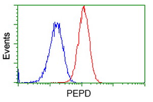 PEPD / PROLIDASE Antibody - Flow cytometric Analysis of Hela cells, using anti-PEPD antibody, (Red), compared to a nonspecific negative control antibody, (Blue).