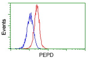 PEPD / PROLIDASE Antibody - Flow cytometric Analysis of Jurkat cells, using anti-PEPD antibody, (Red), compared to a nonspecific negative control antibody, (Blue).