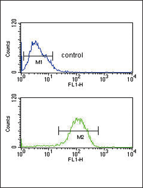 Peptide YY / PYY Antibody - PYY Antibody flow cytometry of MCF-7 cells (bottom histogram) compared to a negative control cell (top histogram). FITC-conjugated goat-anti-rabbit secondary antibodies were used for the analysis.