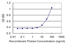 PEX10 Antibody - Detection limit for recombinant GST tagged PEX10 is 1 ng/ml as a capture antibody.