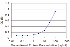PEX14 Antibody - Detection limit for recombinant GST tagged PEX14 is approximately 3 ng/ml as a capture antibody.