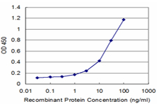 PEX19 Antibody - Detection limit for recombinant GST tagged PEX19 is approximately 1 ng/ml as a capture antibody.
