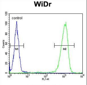 PEX2 / PAF-1 Antibody - PXMP3 Antibody flow cytometry of WiDr cells (right histogram) compared to a negative control cell (left histogram). FITC-conjugated goat-anti-rabbit secondary antibodies were used for the analysis.