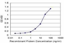 PEX6 Antibody - Detection limit for recombinant GST tagged PEX6 is approximately 0.3 ng/ml as a capture antibody.