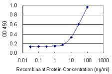 PFDN4 Antibody - Detection limit for recombinant GST tagged PFDN4 is 1 ng/ml as a capture antibody.