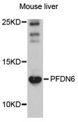 PFDN6 / HKE2 Antibody - Western blot analysis of extracts of mouse liver, using PFDN6 antibody at 1:1000 dilution. The secondary antibody used was an HRP Goat Anti-Rabbit IgG (H+L) at 1:10000 dilution. Lysates were loaded 25ug per lane and 3% nonfat dry milk in TBST was used for blocking. An ECL Kit was used for detection and the exposure time was 30s.