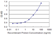 PFKM / PFK-1 Antibody - Detection limit for recombinant GST tagged PFKM is 0.3 ng/ml as a capture antibody.