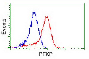PFKP Antibody - Flow cytometry of HeLa cells, using anti-PFKP antibody (Red), compared to a nonspecific negative control antibody (Blue).