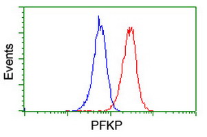 PFKP Antibody - Flow cytometry of Jurkat cells, using anti-PFKP antibody (Red), compared to a nonspecific negative control antibody (Blue).