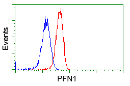 PFN1 / Profilin 1 Antibody - Flow cytometric Analysis of Hela cells, using anti-PFN1 antibody, (Red), compared to a nonspecific negative control antibody, (Blue).