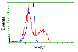 PFN1 / Profilin 1 Antibody - HEK293T cells transfected with either overexpress plasmid (Red) or empty vector control plasmid (Blue) were immunostained by anti-PFN1 antibody, and then analyzed by flow cytometry.