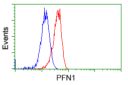 PFN1 / Profilin 1 Antibody - Flow cytometric Analysis of Hela cells, using anti-PFN1 antibody, (Red), compared to a nonspecific negative control antibody, (Blue).
