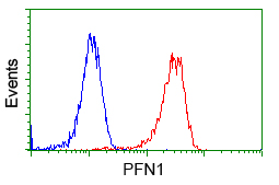 PFN1 / Profilin 1 Antibody - Flow cytometric Analysis of Jurkat cells, using anti-PFN1 antibody, (Red), compared to a nonspecific negative control antibody, (Blue).