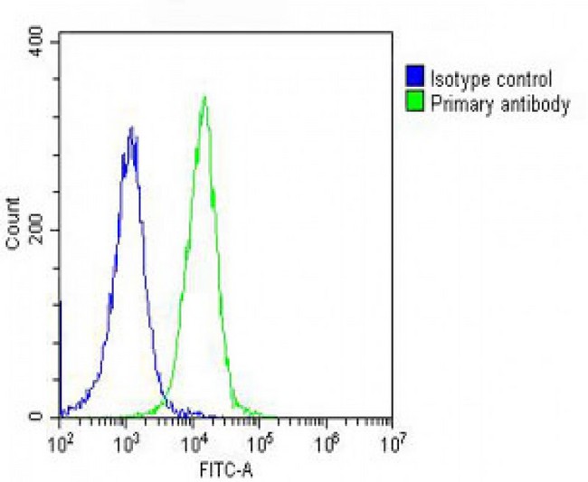 PFN1 / Profilin 1 Antibody - Overlay histogram showing Hela cells stained with Profilin-1 Antibody (green line). The cells were fixed with 2% paraformaldehyde (10 min) and then permeabilized with 90% methanol for 10 min. The cells were then icubated in 2% bovine serum albumin to block non-specific protein-protein interactions followed by the antibody (Profilin-1 Antibody, 1:25 dilution) for 60 min at 37°C. The secondary antibody used was Goat-Anti-Rabbit IgG, DyLight® 488 Conjugated Highly Cross-Adsorbed at 1/200 dilution for 40 min at 37°C. Isotype control antibody (blue line) was rabbit IgG (1µg/1x10^6 cells) used under the same conditions. Acquisition of >10, 000 events was performed.