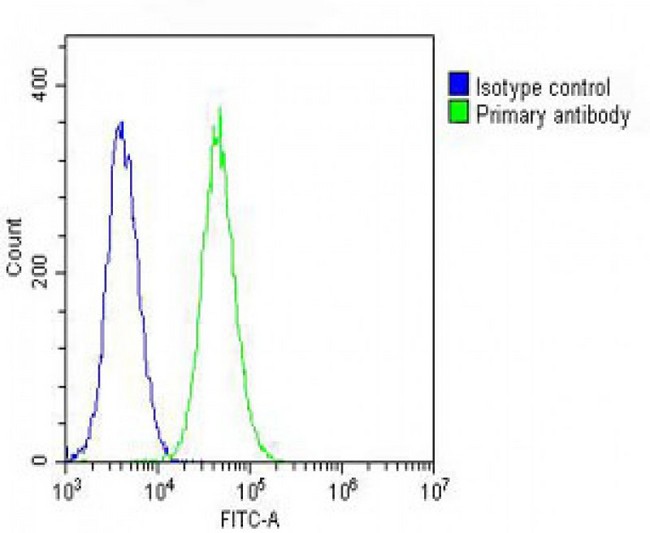 PFN1 / Profilin 1 Antibody - Overlay histogram showing NIH/3T3 cells stained with Profilin-1 Antibody (green line). The cells were fixed with 2% paraformaldehyde (10 min) and then permeabilized with 90% methanol for 10 min. The cells were then icubated in 2% bovine serum albumin to block non-specific protein-protein interactions followed by the antibody (Profilin-1 Antibody, 1:25 dilution) for 60 min at 37°C. The secondary antibody used was Goat-Anti-Rabbit IgG, DyLight® 488 Conjugated Highly Cross-Adsorbed at 1/200 dilution for 40 min at 37°C. Isotype control antibody (blue line) was rabbit IgG (1µg/1x10^6 cells) used under the same conditions. Acquisition of >10, 000 events was performed.