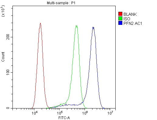 PFN2 / Profilin 2 Antibody - Flow Cytometry analysis of A431 cells using anti-PFN2 antibody. Overlay histogram showing A431 cells stained with anti-PFN2 antibody(Blue line). The cells were blocked with 10% normal goat serum. And then incubated with rabbit anti-PFN2 Antibody (1µg/10E6 cells) for 30 min at 20°C. DyLight®488 conjugated goat anti-rabbit IgG (5-10µg/10E6 cells) was used as secondary antibody for 30 minutes at 20°C. Isotype control antibody (Green line) was rabbit IgG (1µg/10E6 cells) used under the same conditions. Unlabelled sample (Red line) was also used as a control.